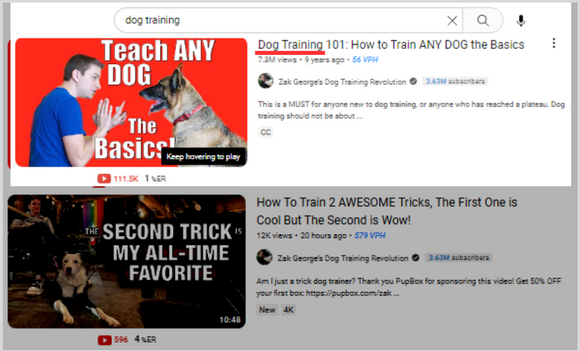 dog training video on Youtube