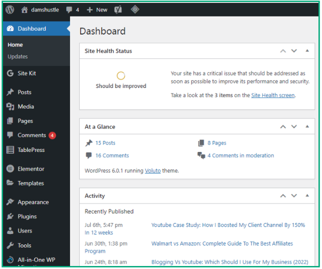 damshustle wordpress dashboard